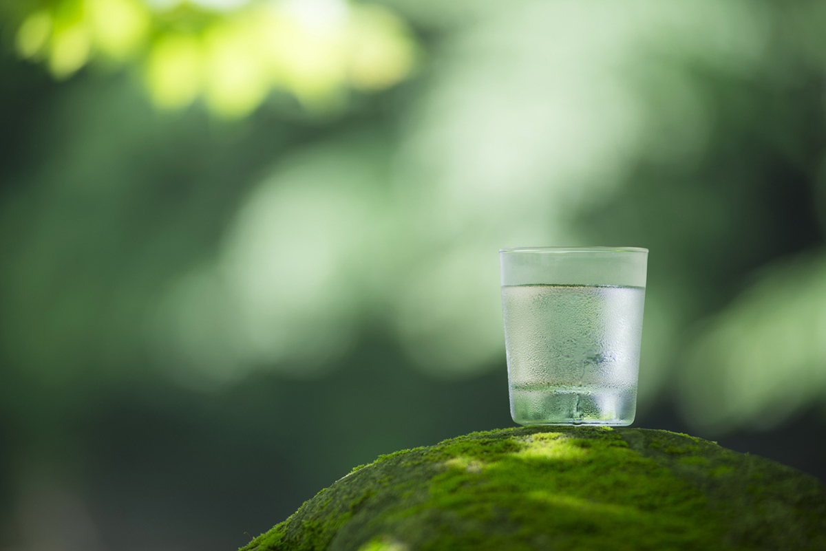 コップ1杯の水から生態系を可視化する