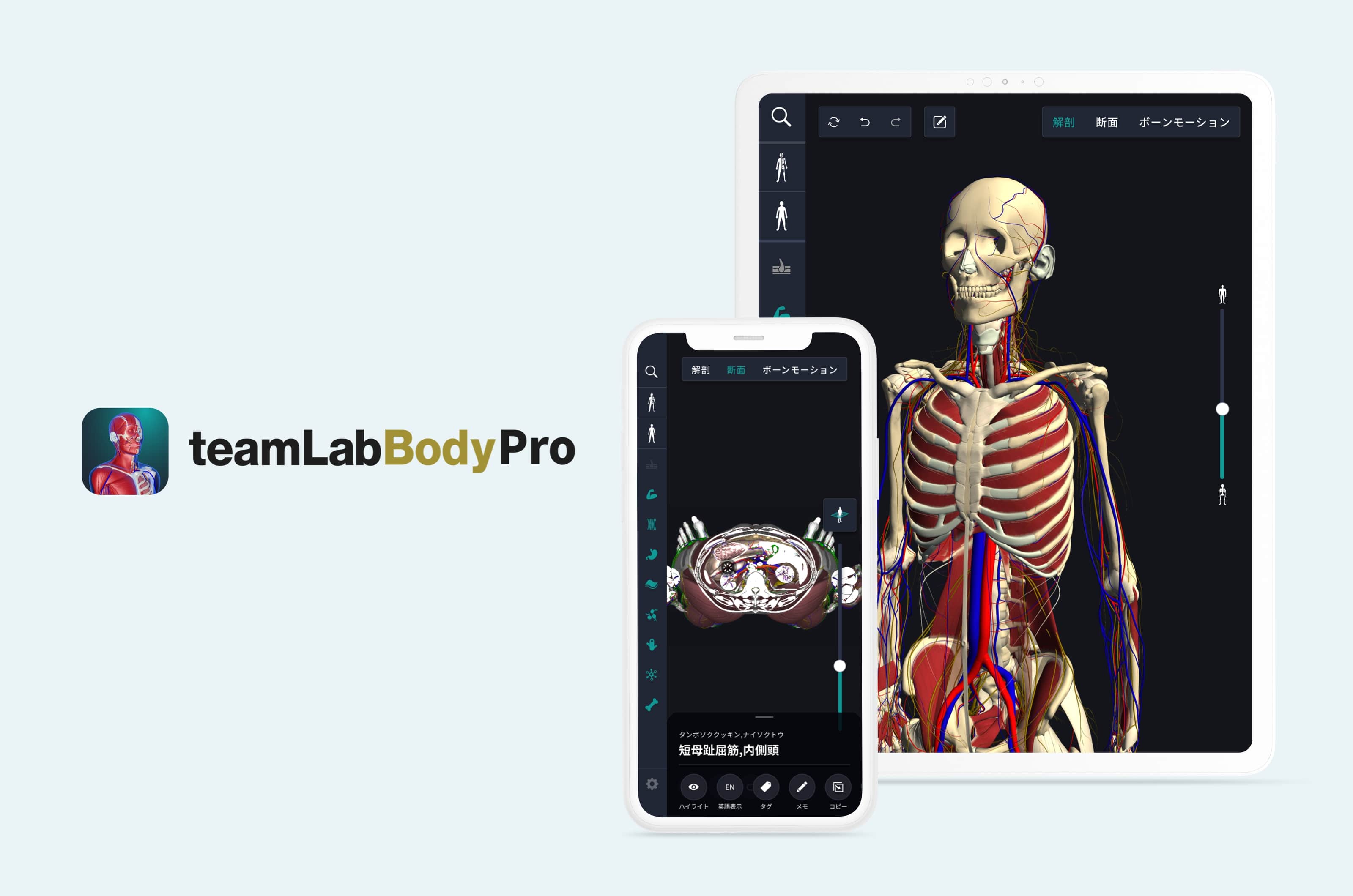 チームラボ、人体の構造のすべてがわかる3D解剖学アプリ「teamLabBody Pro」を開発