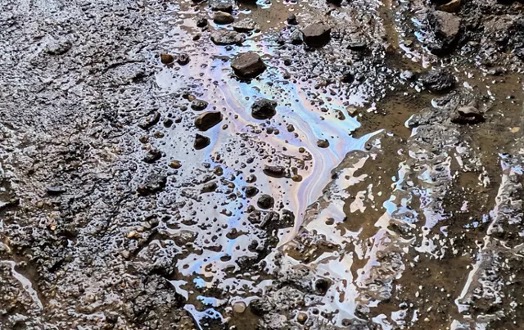 花王、油で汚染された土壌をその場で洗浄できる新技術を開発―再利用困難なブラックフィールド問題の解決策