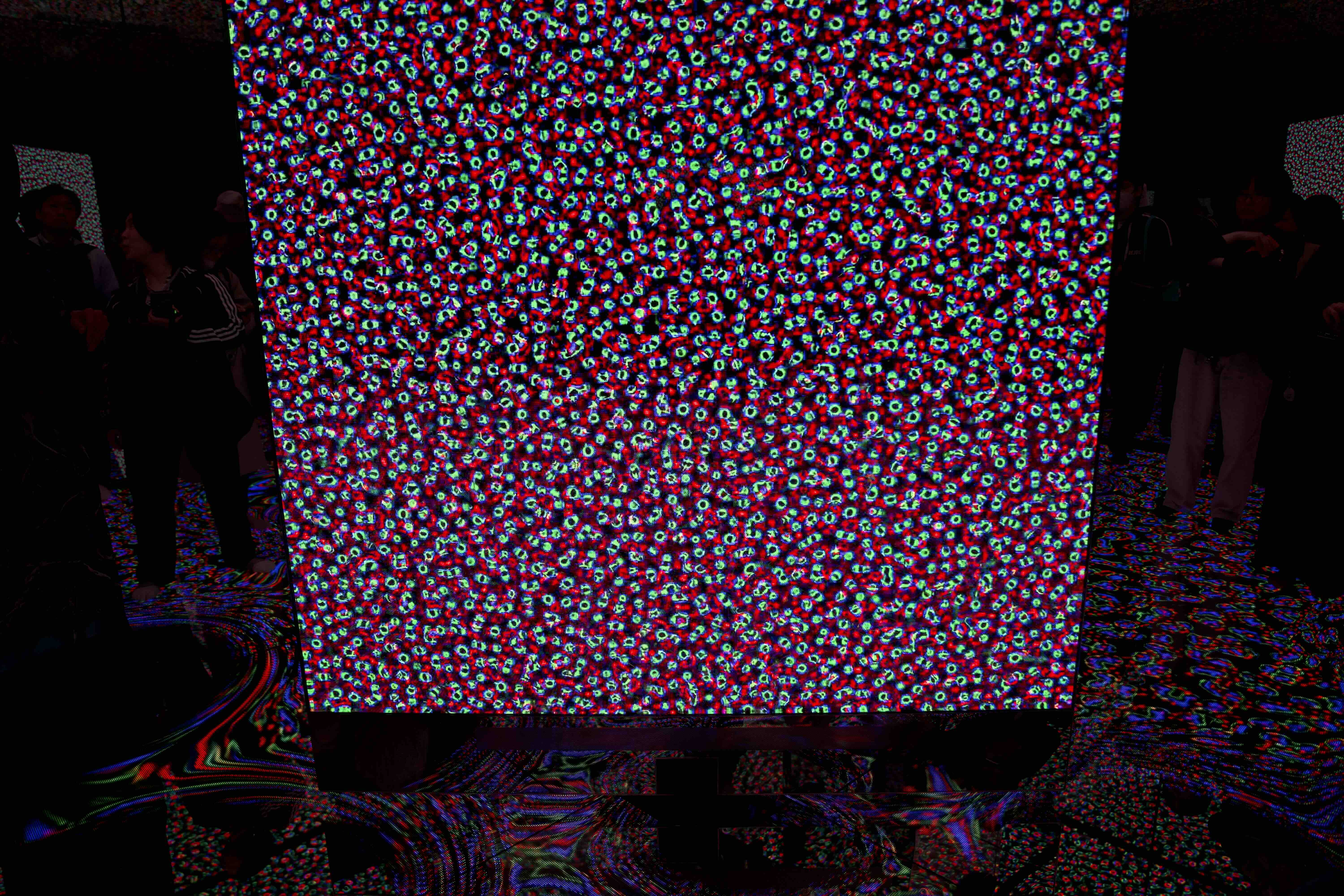 DSC09035s