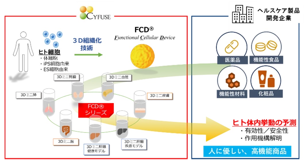 46287-50-e9e464f3bc0b5ba248e49606624609d0-1059x559