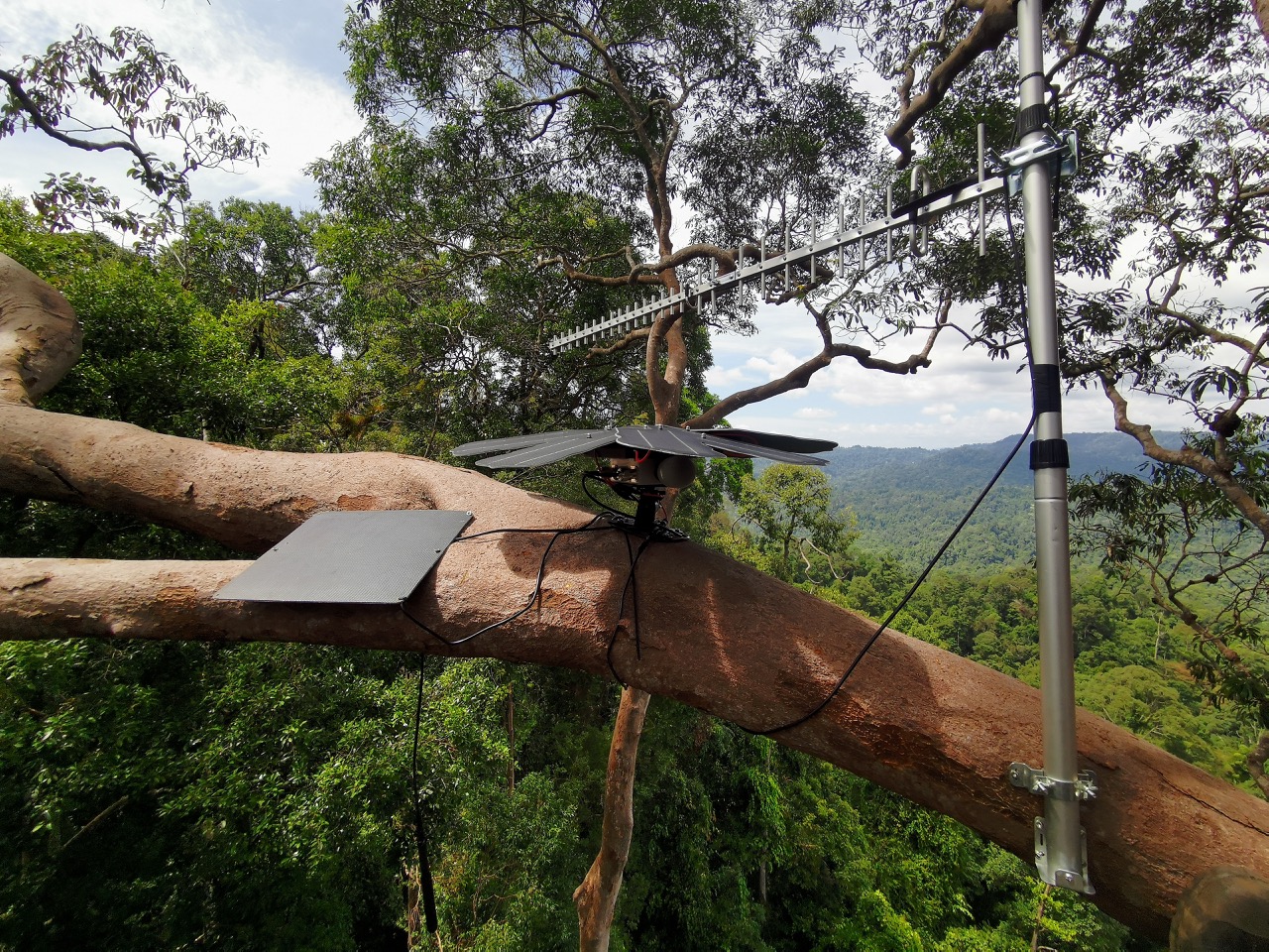 6c77d8d9-copy-of-guardian-setup-west-sumatra-large