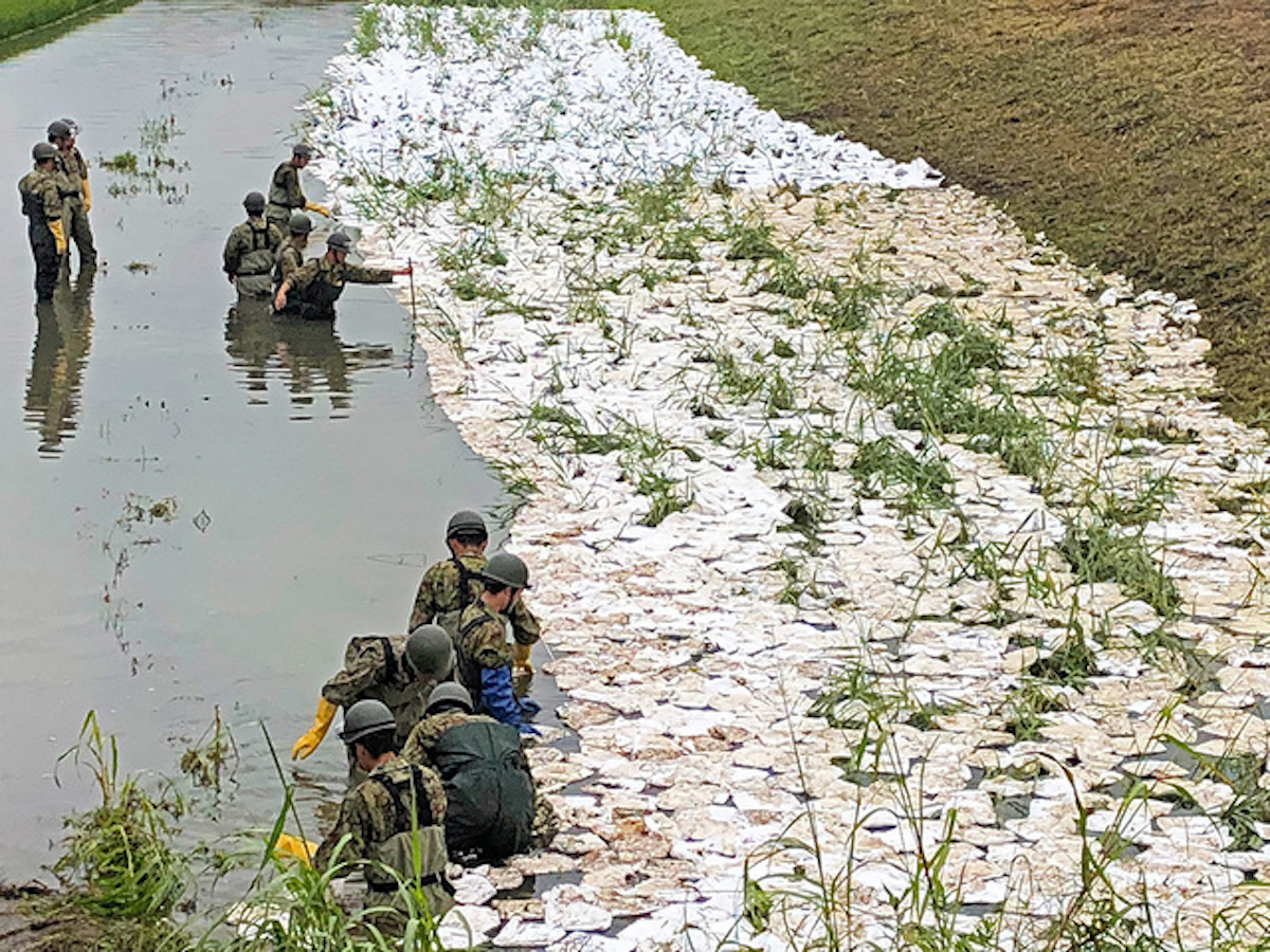 油吸着剤