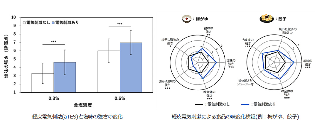 電気調味料_sub