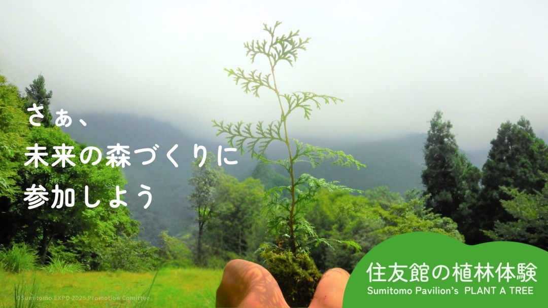 住友館_sub5
