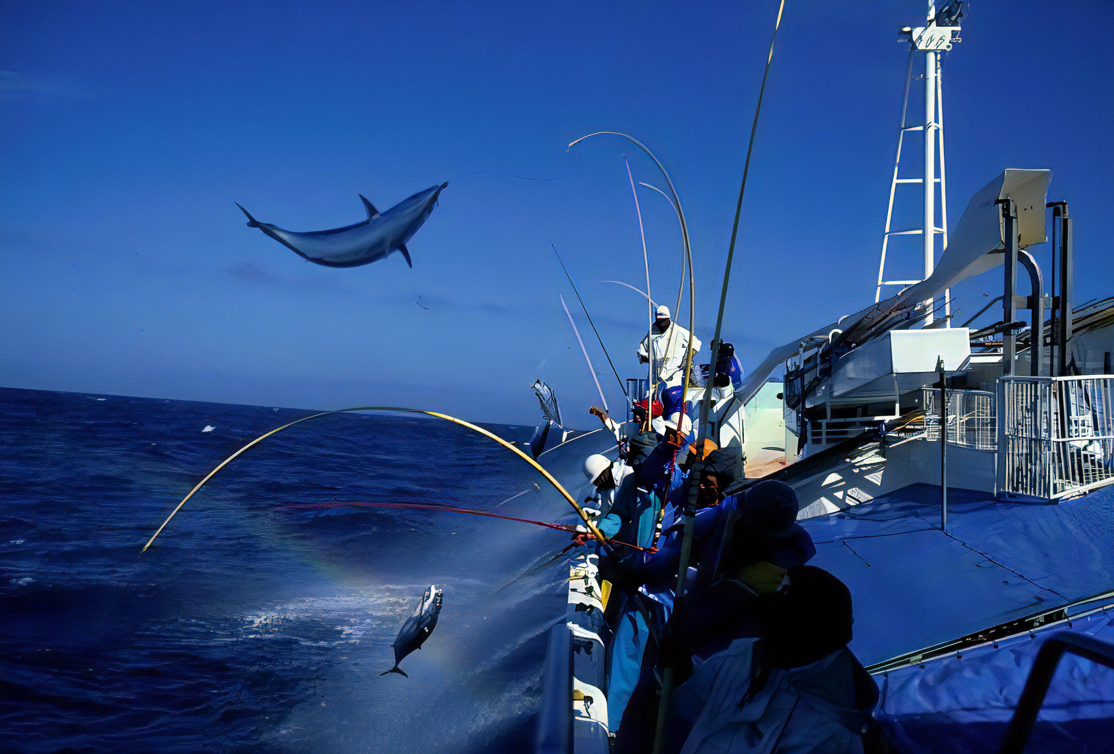 日本の伝統漁法「カツオの一本釣り」が、“環境に配慮した持続可能な漁法”として認められる