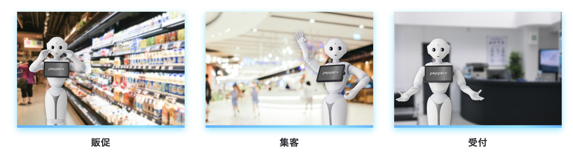 スクリーンショット 2026-04-20 0.32.33