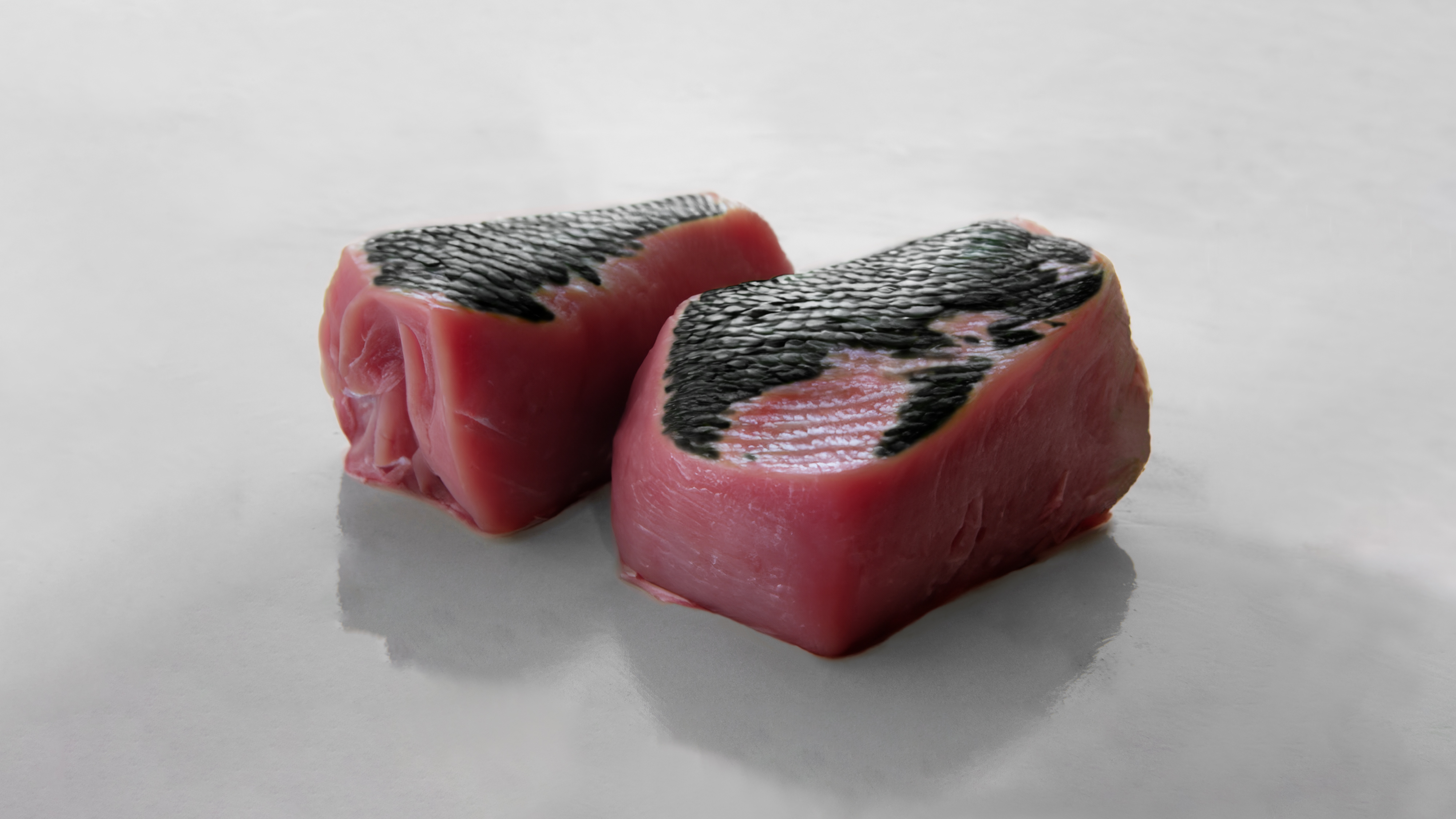 最先端バイオテクノロジーで再現した“龍の肉”