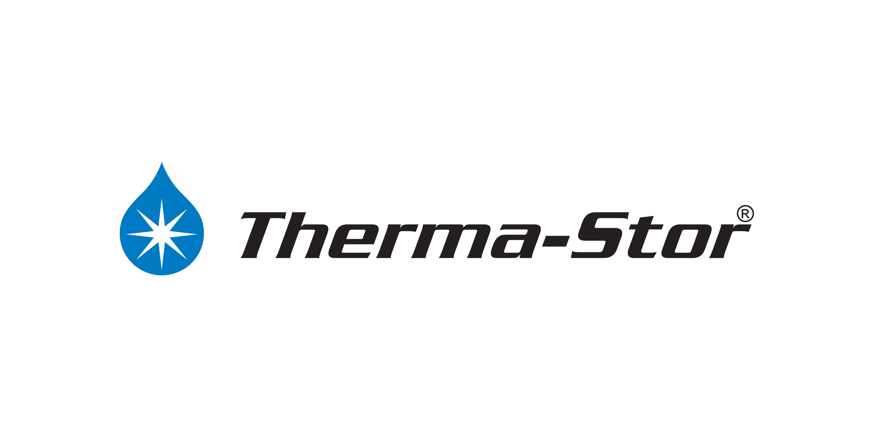Thermastor Logo