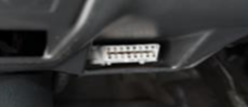 Port Exposed