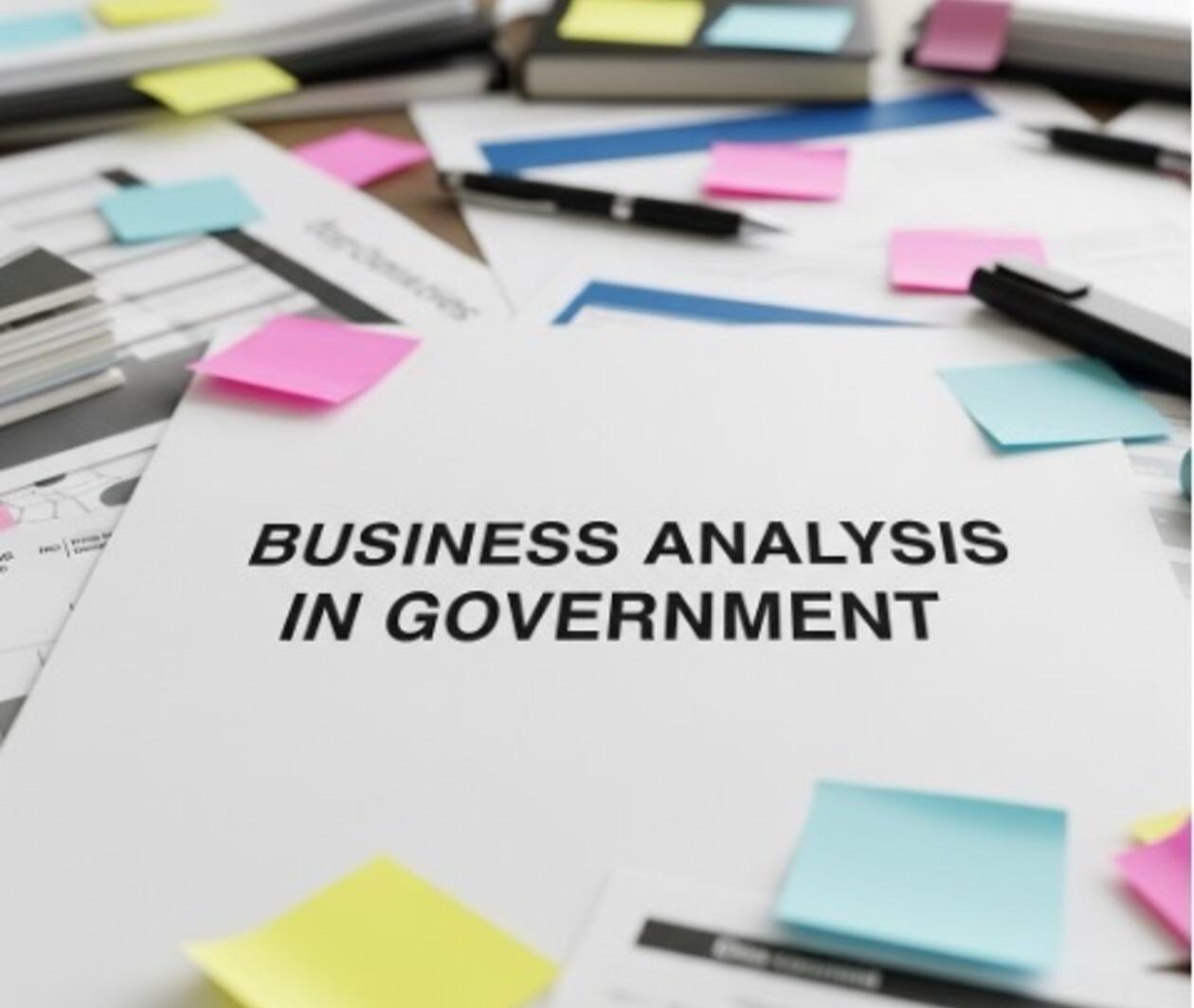 business analysis in government image