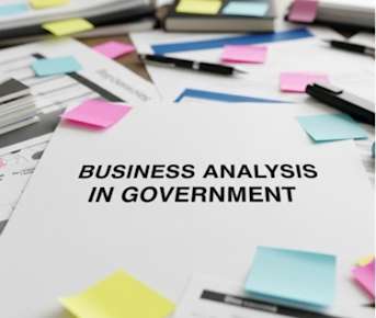 business analysis in government image