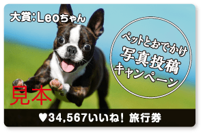 法人用JTBトラベルギフト