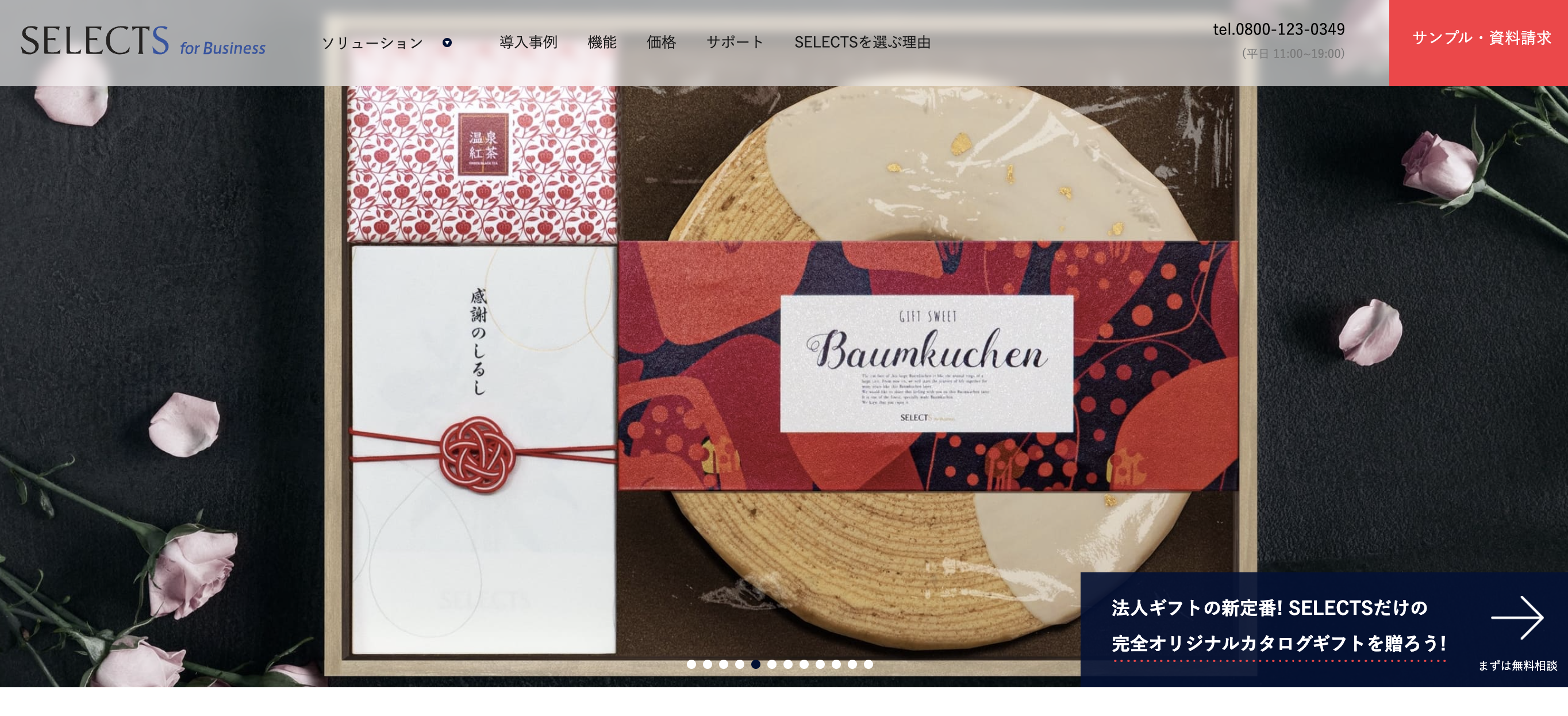 SELECTS for Business TOP画像