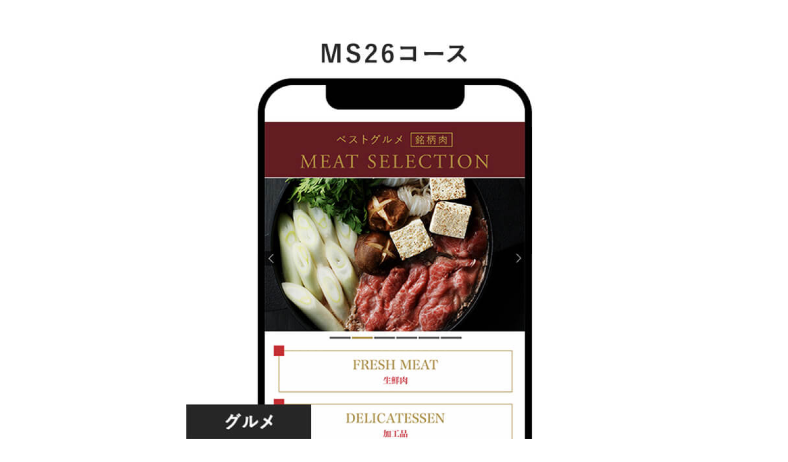 10.ベストグルメ〜銘柄肉〜 MEAT SELECTION e-order gift ＜MS26＞