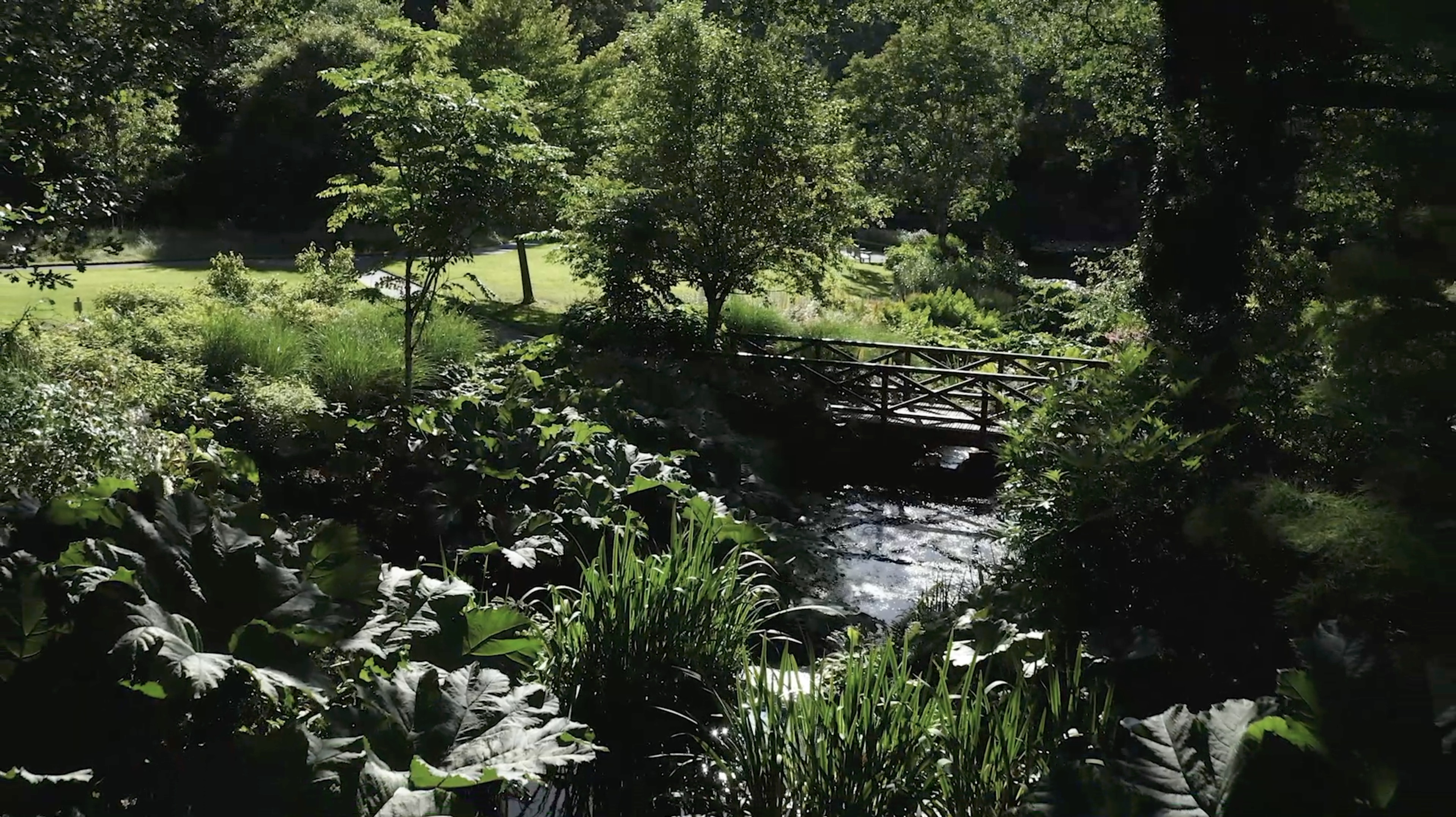 Royal Horticultural Society: Rosemoor in Summer