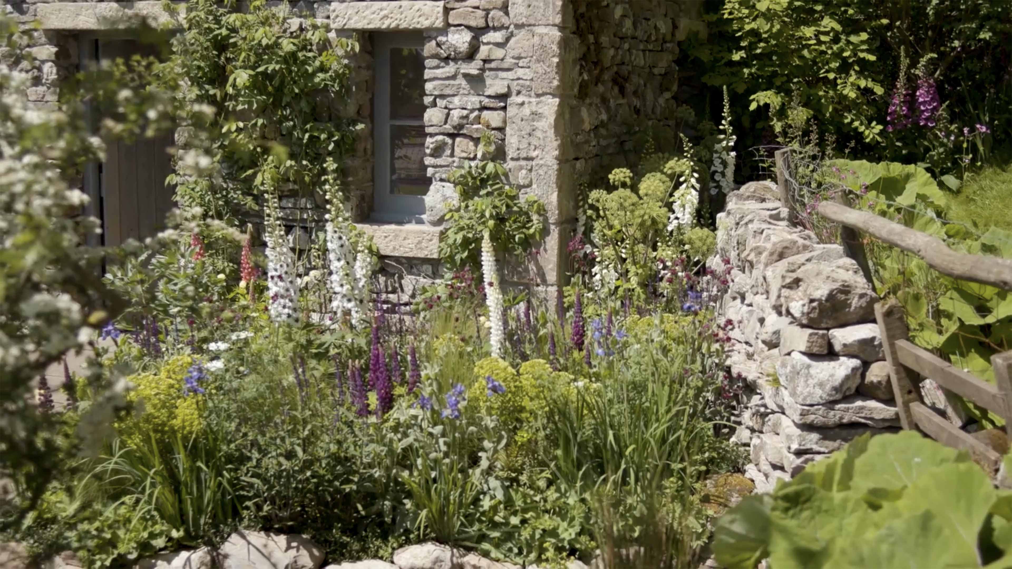 Chelsea Flower Show Time lapse