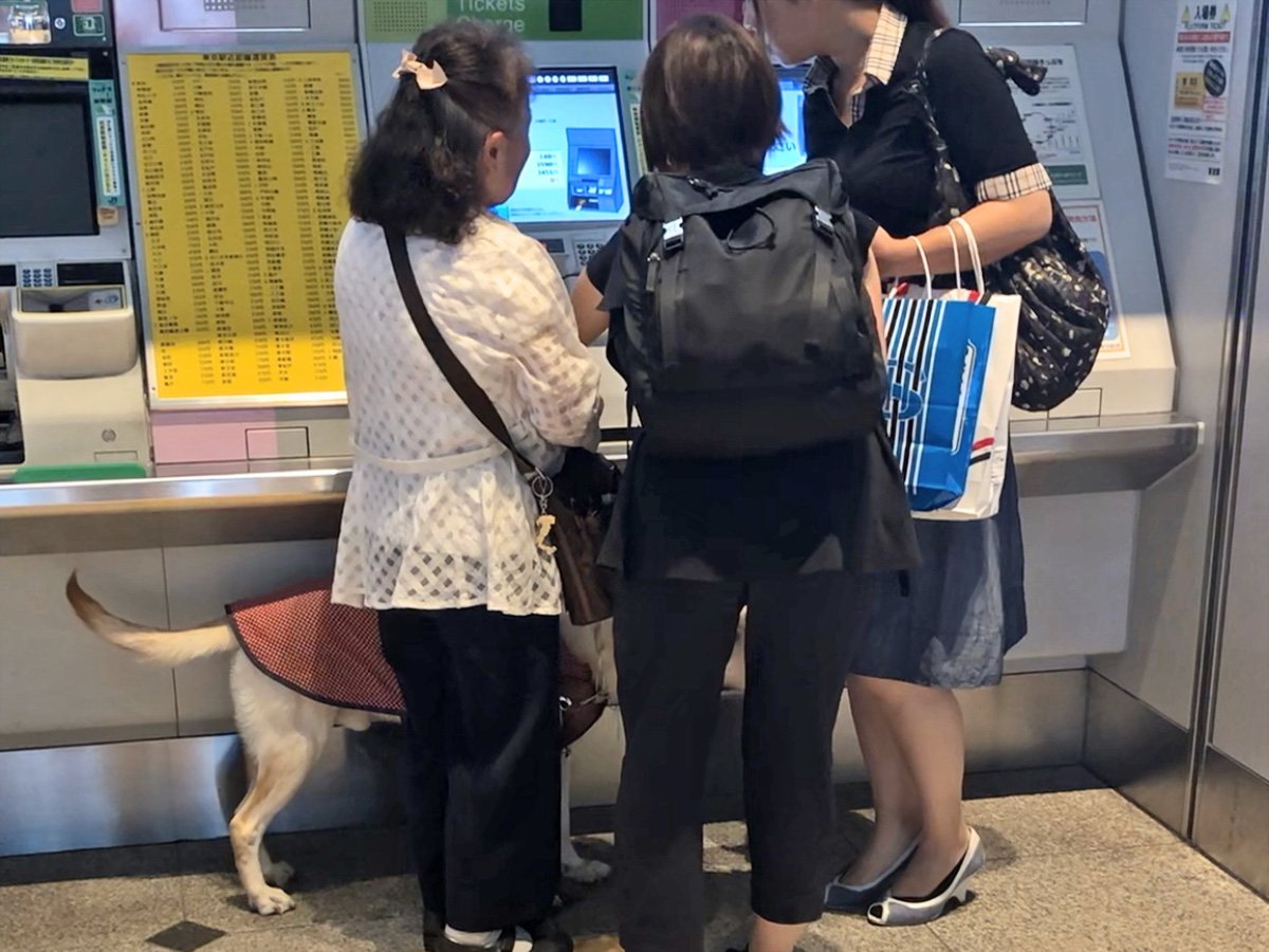 写真：駅の改札で切符を購入している、盲導犬を連れた女性