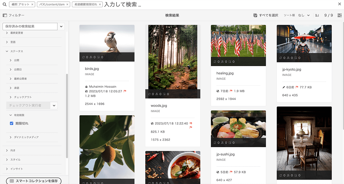 画面キャプチャ：AEMアセット管理画面で、有効期限の「期限切れ」ステータスを絞り込んだ検索結果