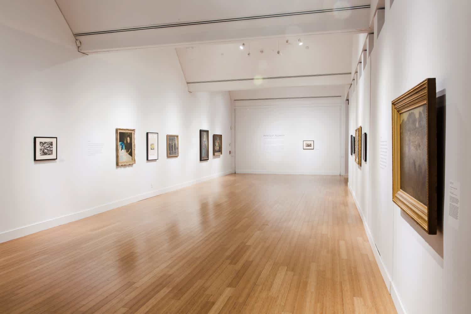 Installation image of American Appetite: Selections from the Chrysler Museum of Art at the Virginia Museum of Contemporary Art. 