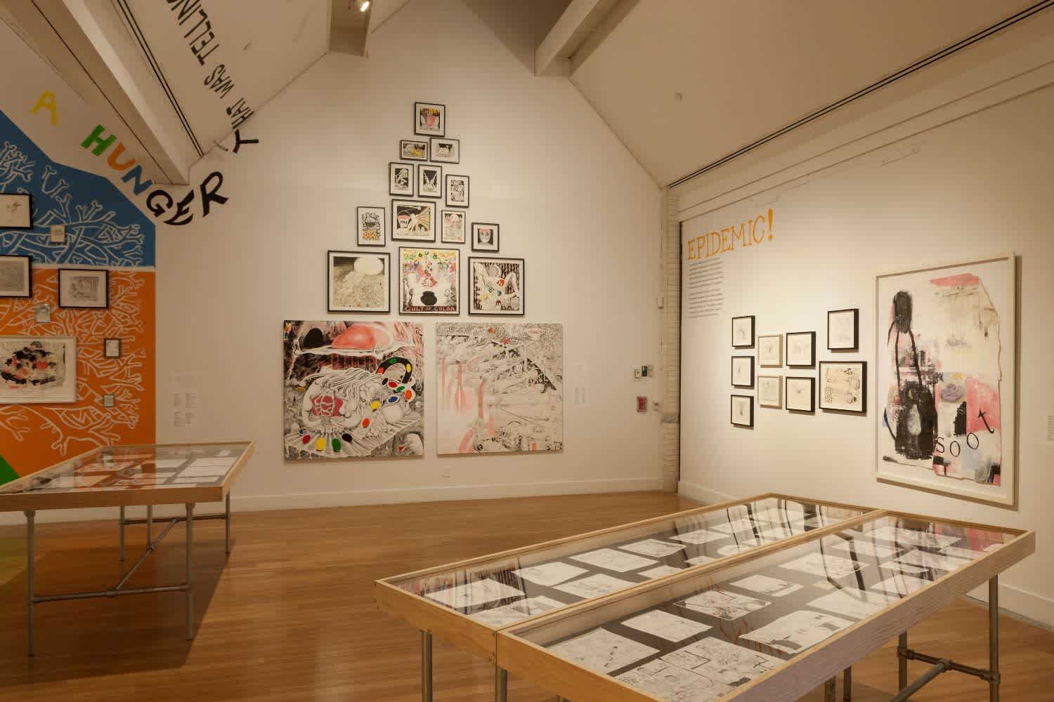 Installation image of Trenton Doyle Hancock: Skin and Bones, 20 Years of Drawing. Contemporary art exhibition at the Virginia Museum of Contemporary Art.