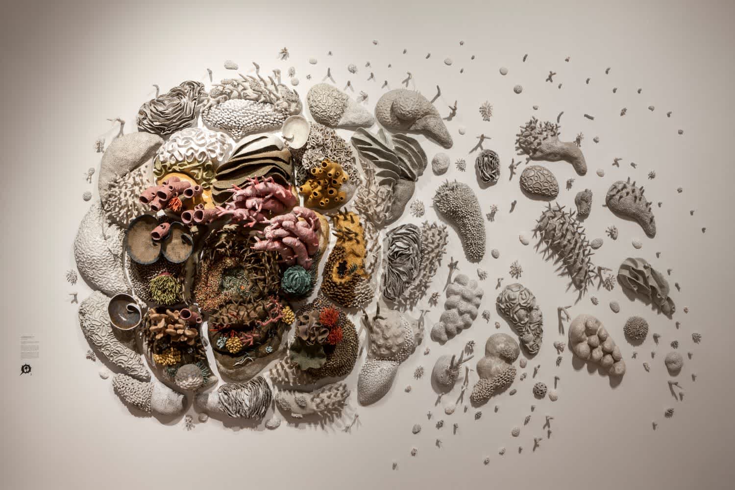 Our Changing Seas III by artist Courtney Mattison for the exhibition Sea Change at Virginia MOCA. 