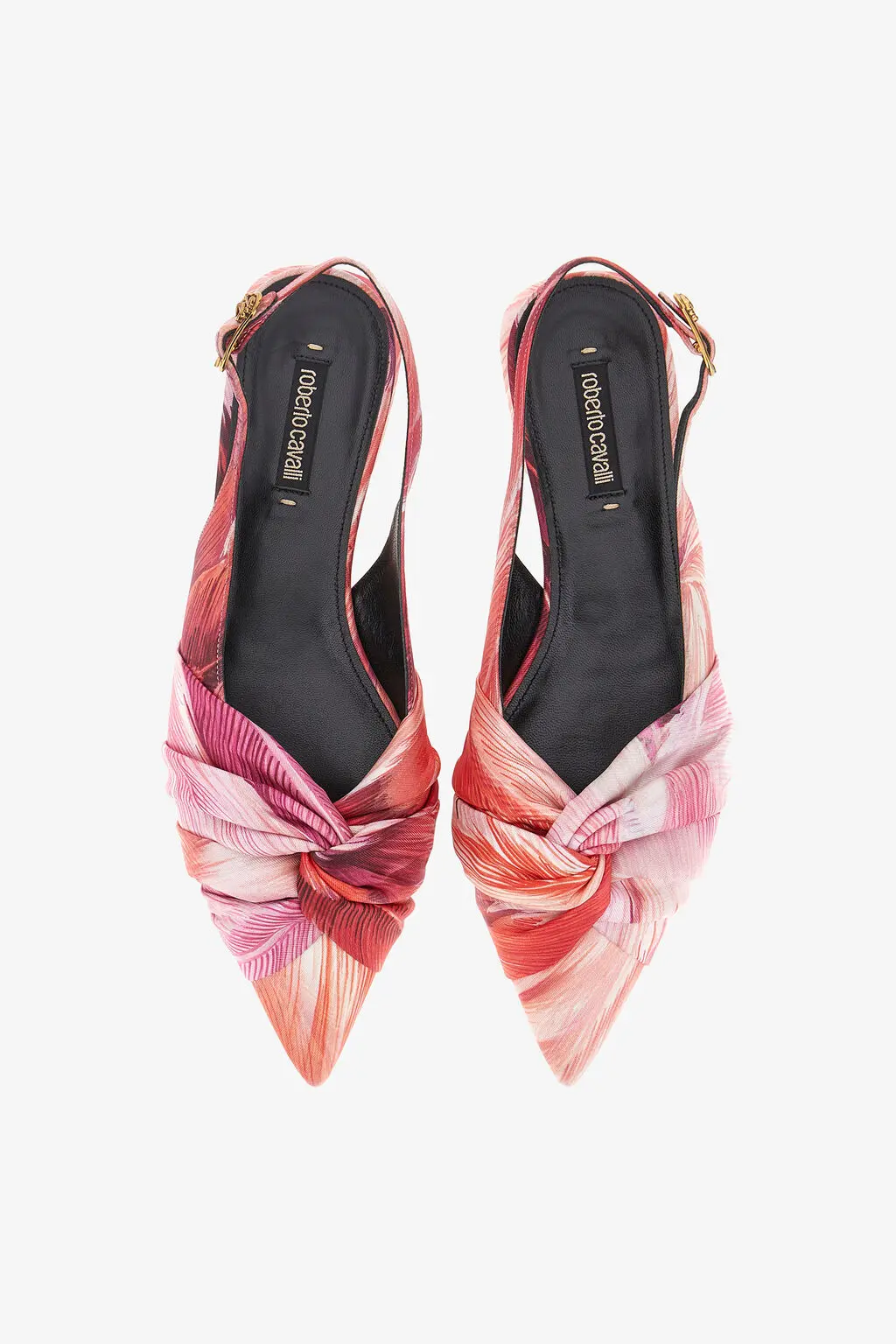 Limited edition Zebra 2000