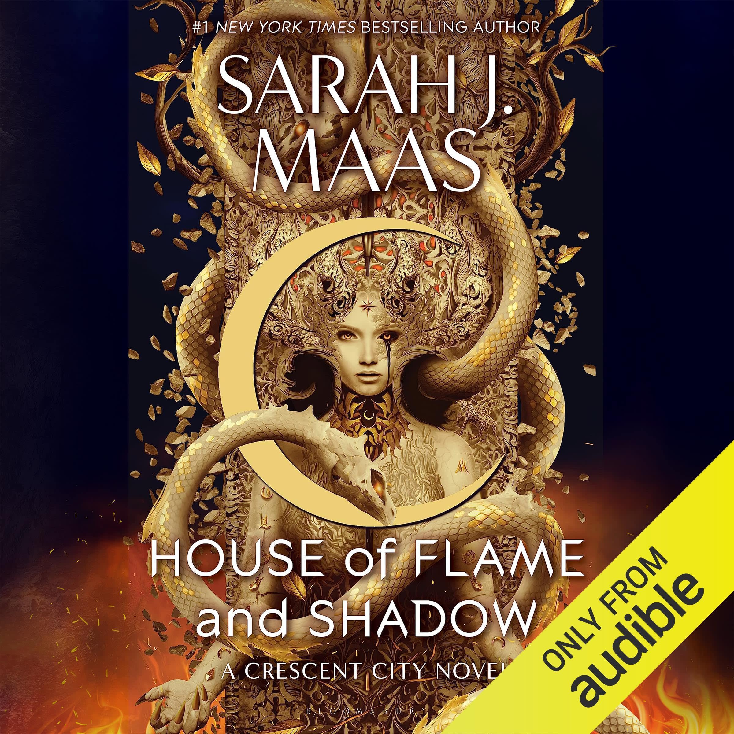 House of Flame and Shadow cover