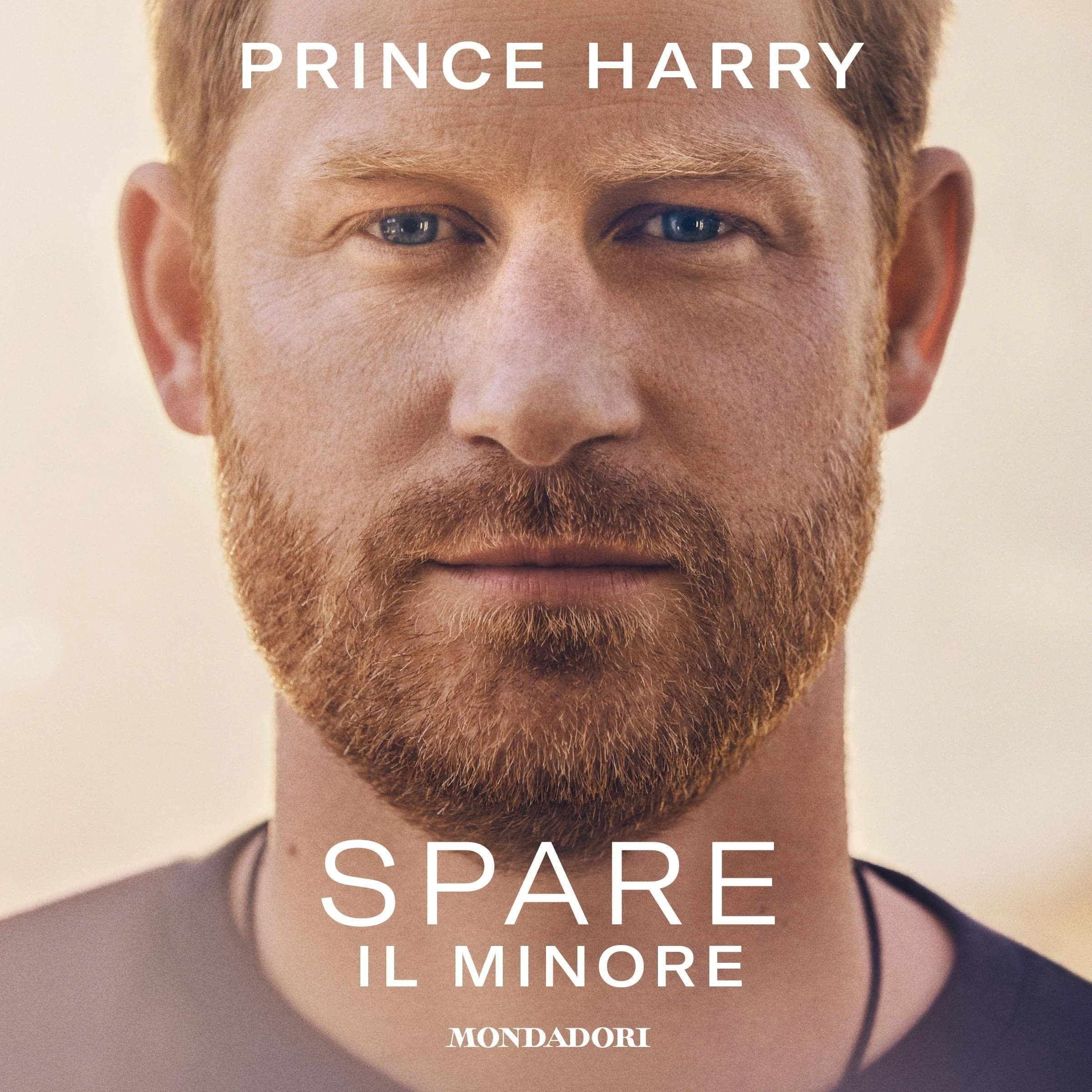 Spare cover
