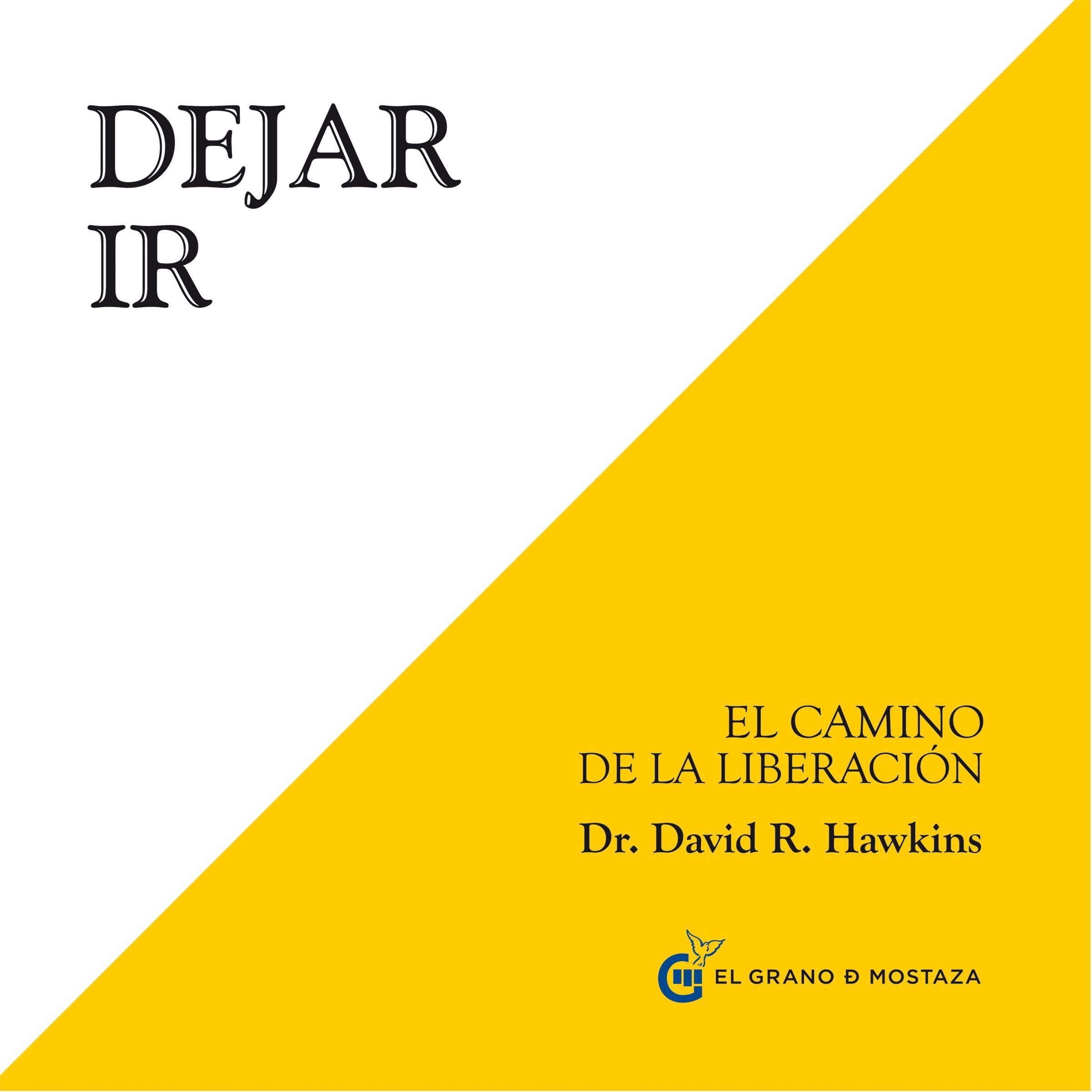 Dejar ir cover