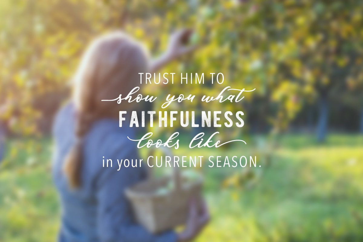 Faithfulness and Fruit