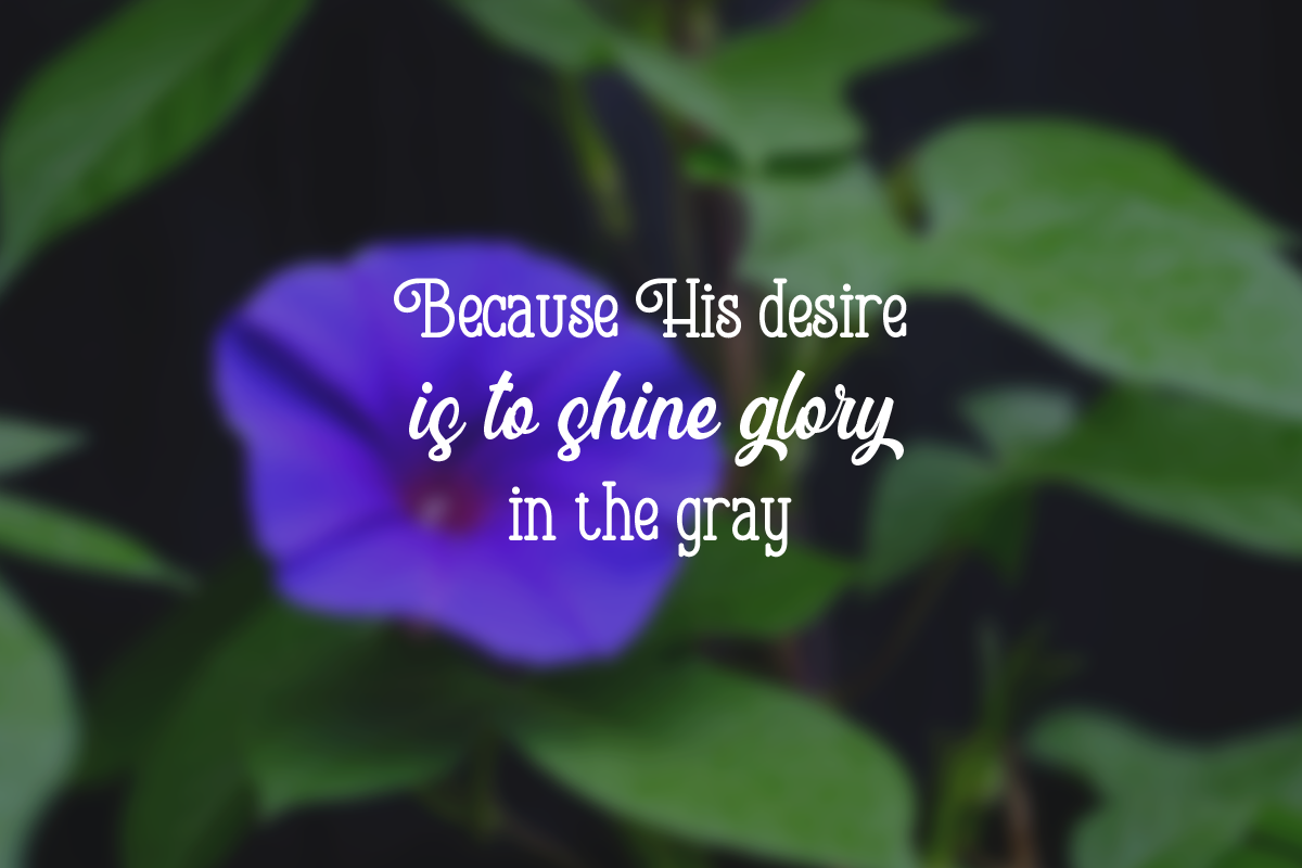 Glory in the Gray