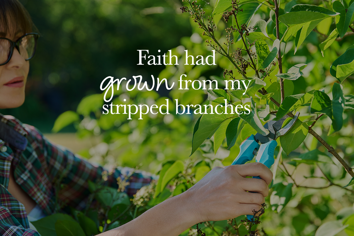 Growth Through Patient Pruning