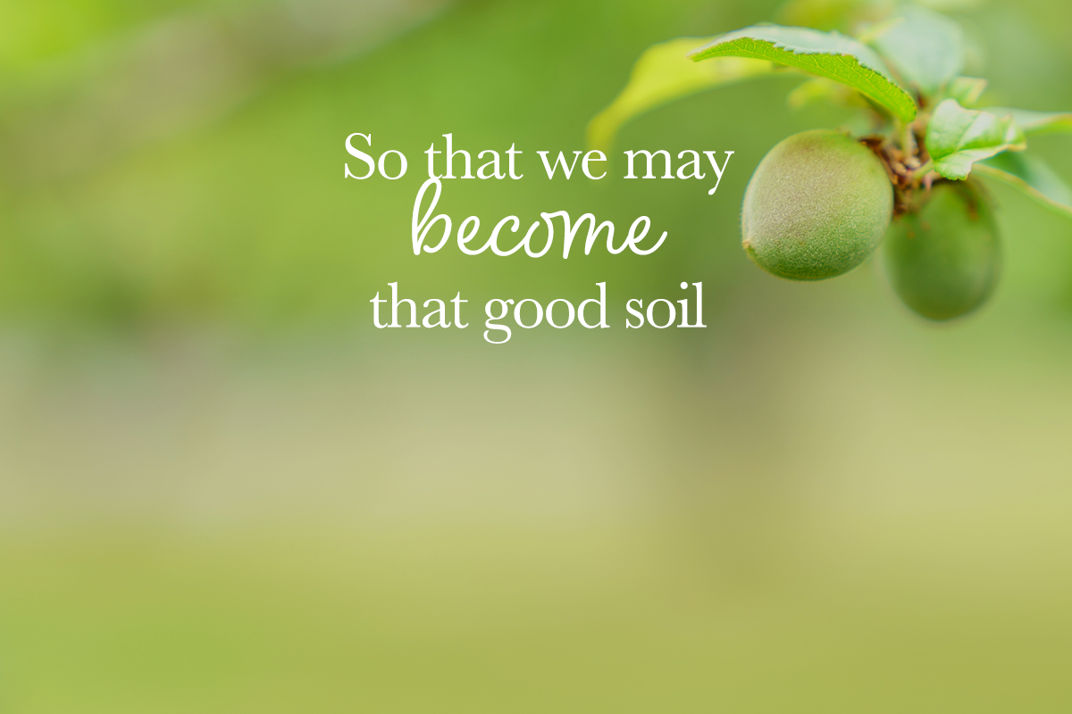 Understanding the Word of God Leads to Spiritual Growth