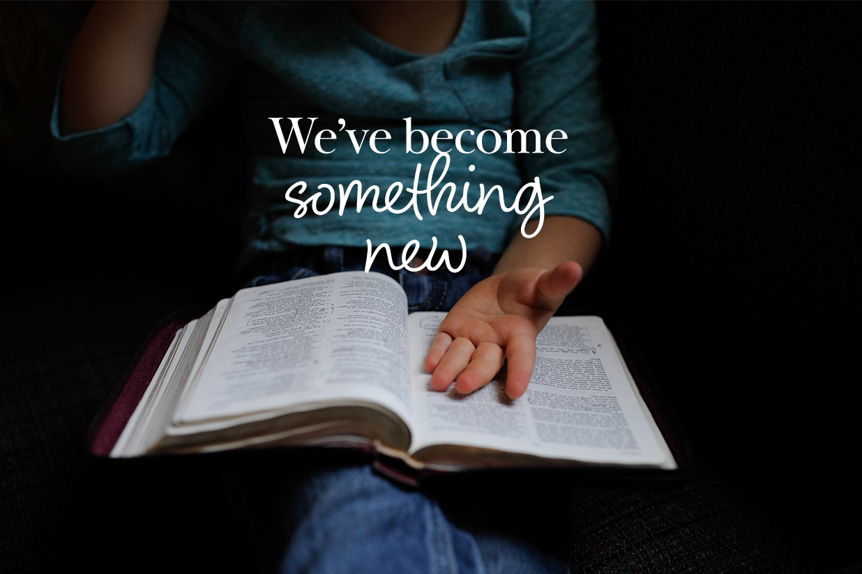 The Sting of a Multicultural Life