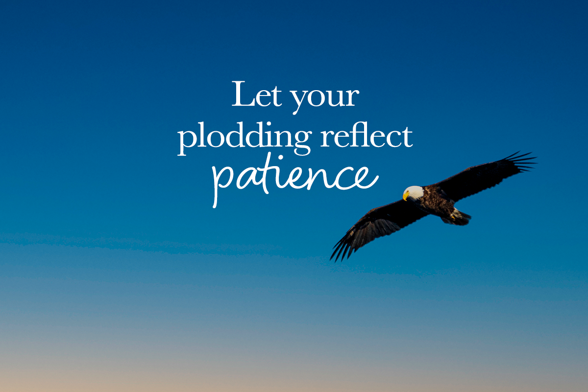 Patient Perseverance