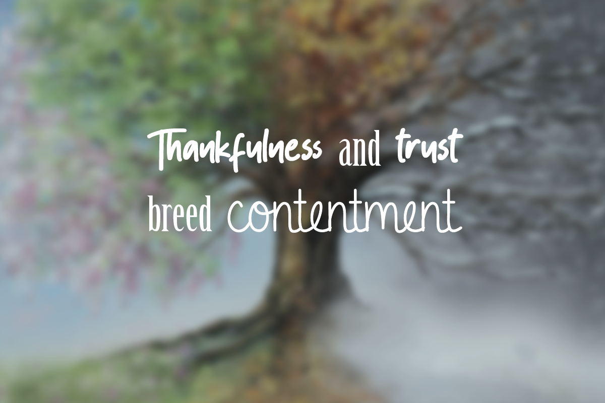 Celebrating Contentment in the Presence of God