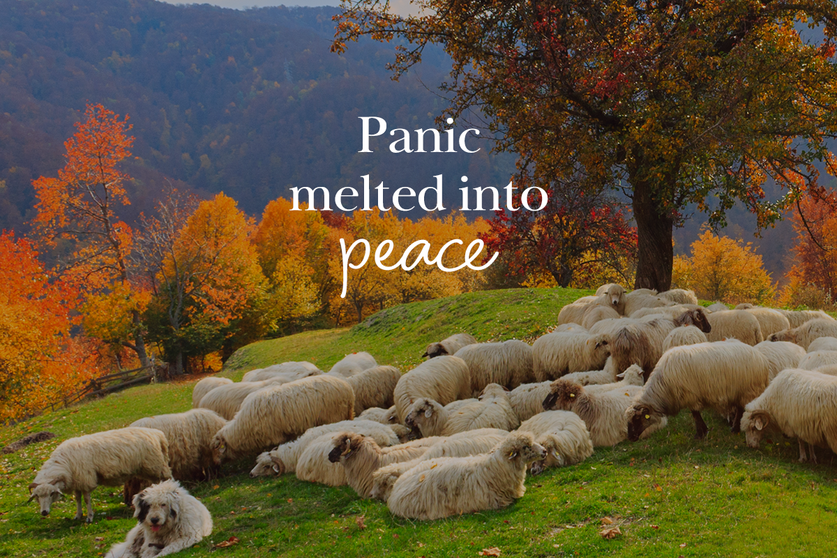 Inclined to Hear the Shepherd's Voice