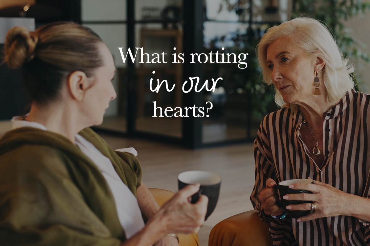A Spring of Healing Words