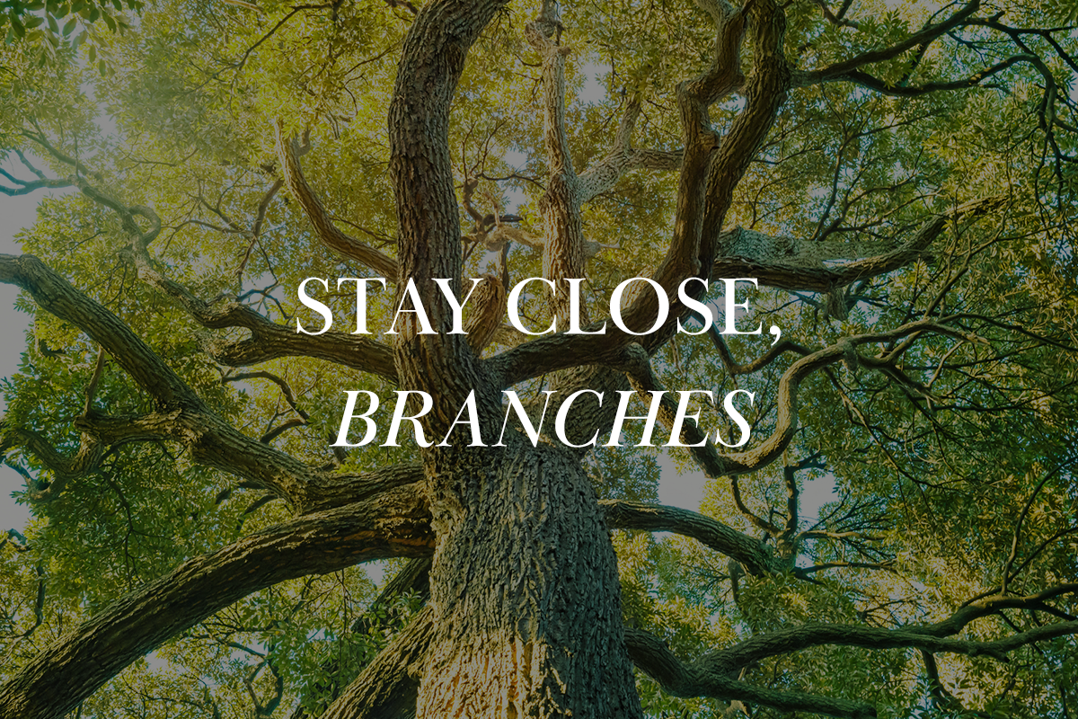 The Only Vine, Our Source of Life