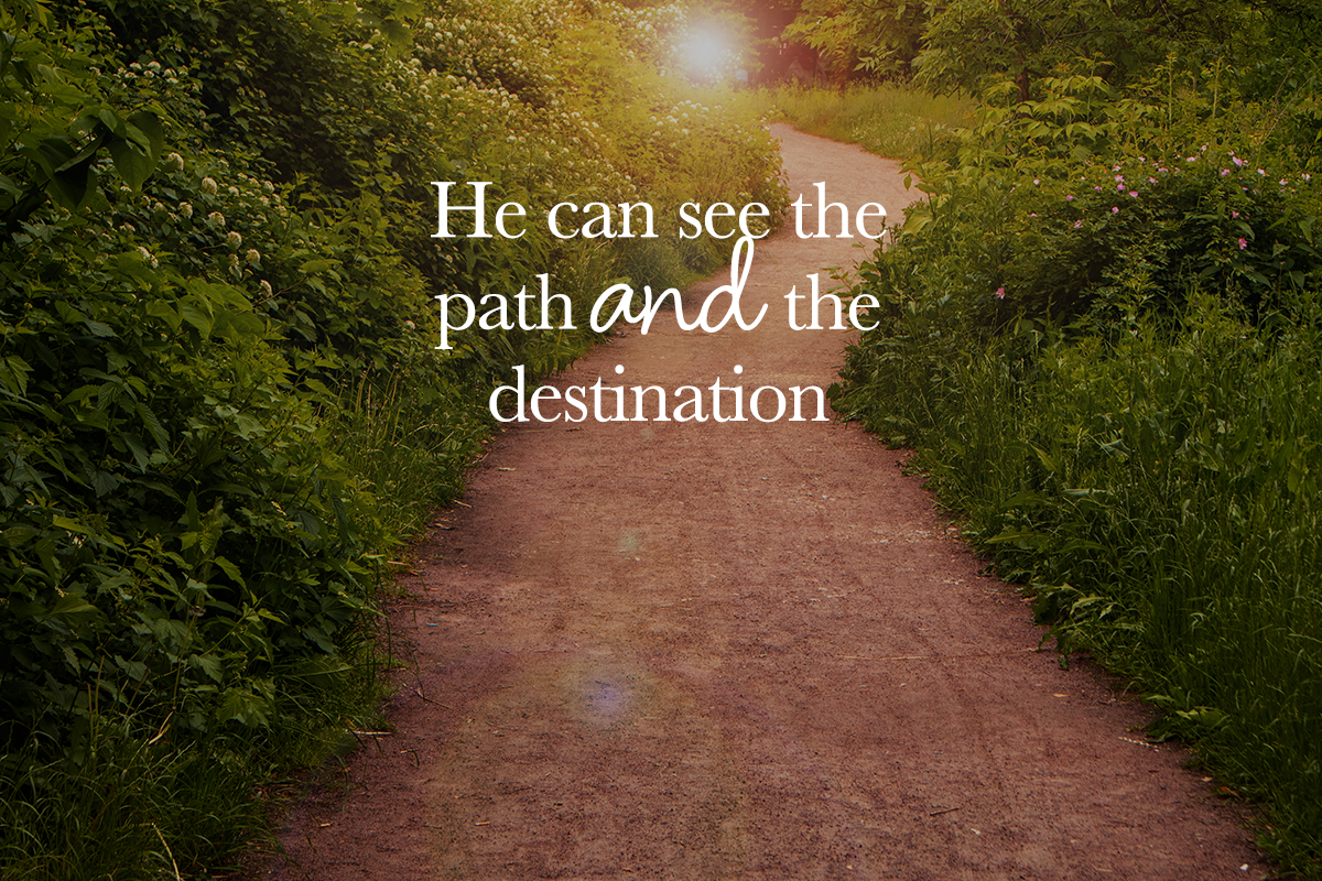 The Gut Feeling God Guided