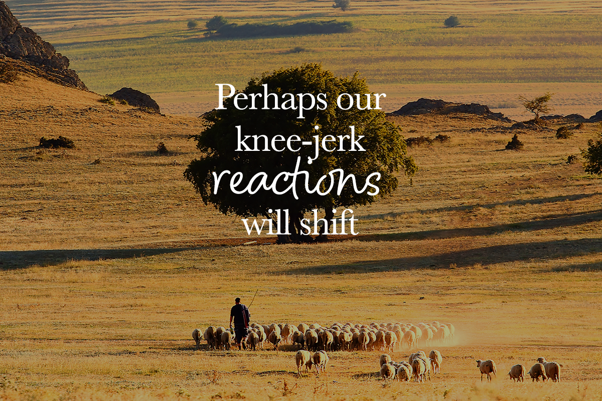 To the Sheep who Look Elsewhere First