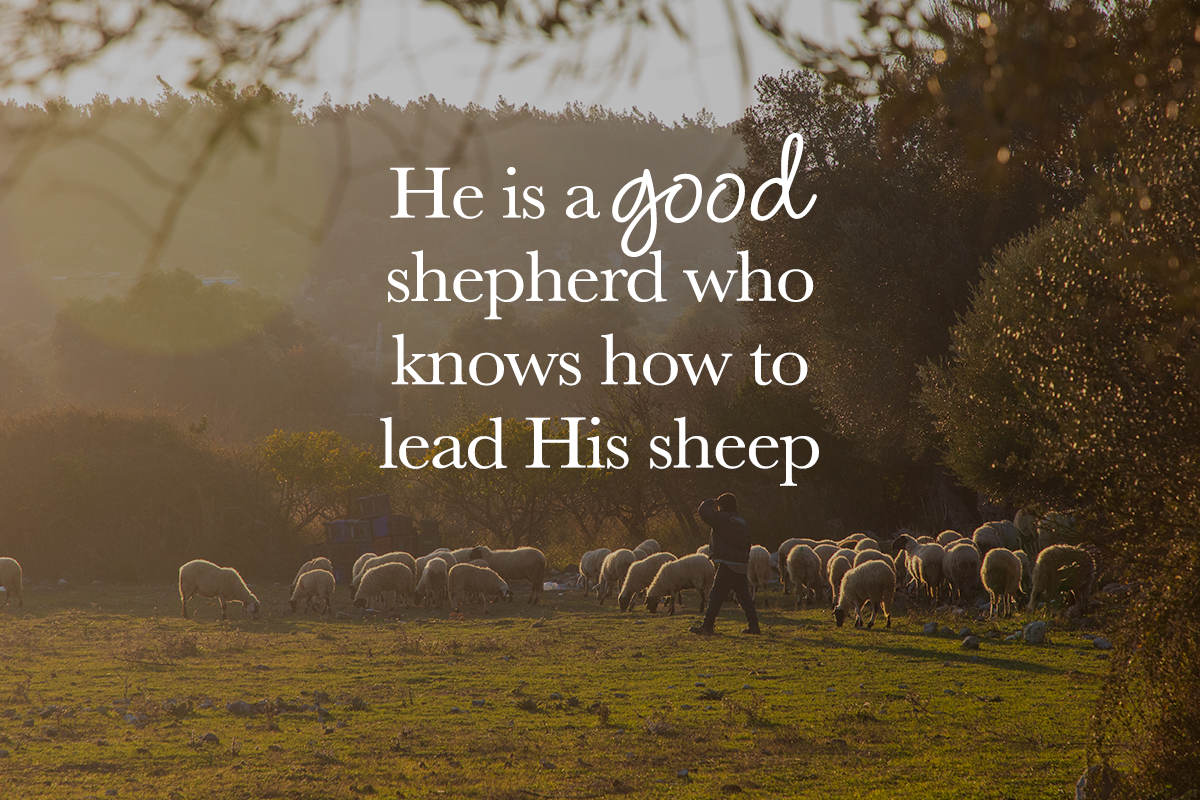 Seeking God's Guidance