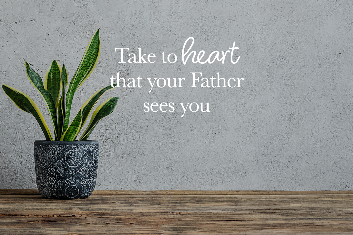 You are NOT a Snake Plant