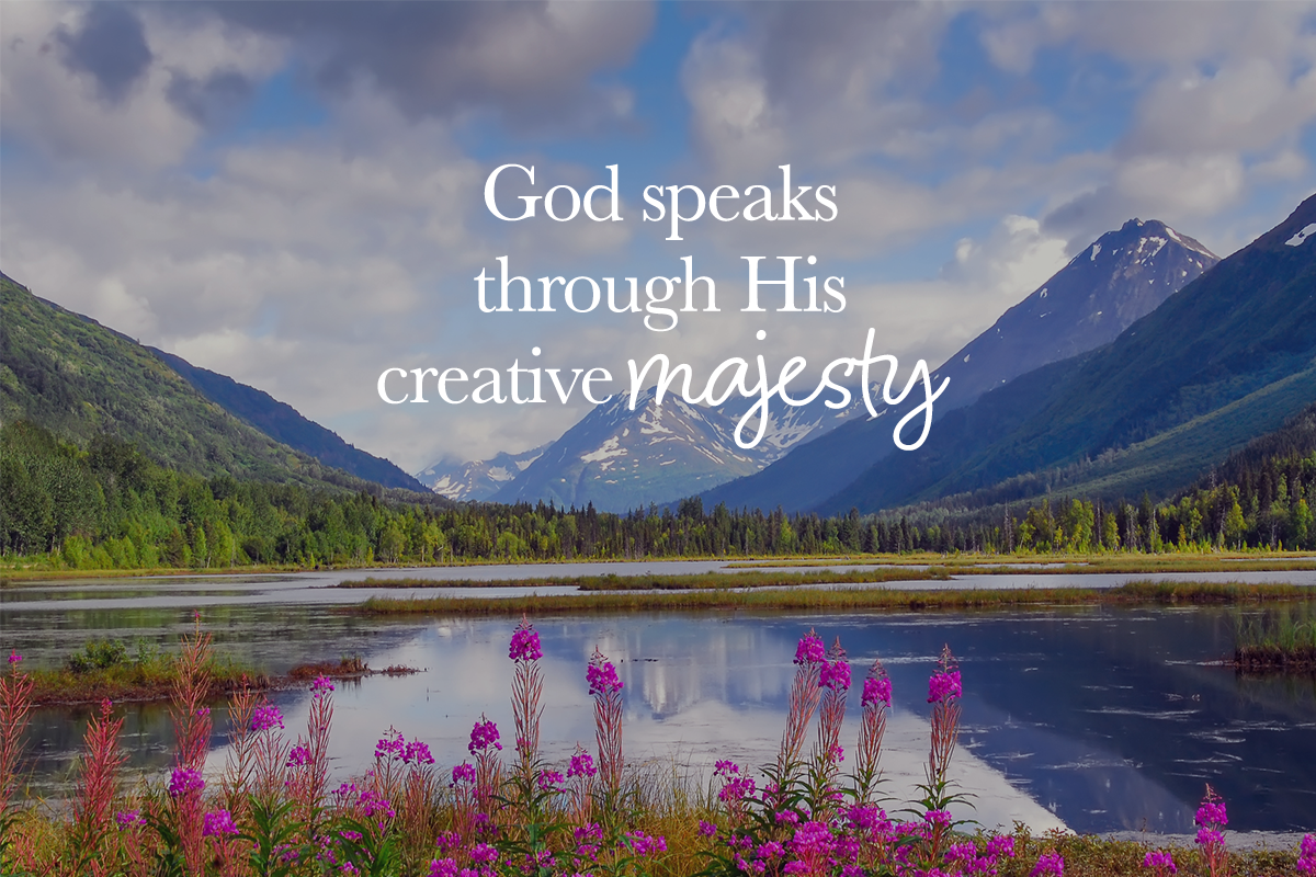 Meditation Amid His Majesty