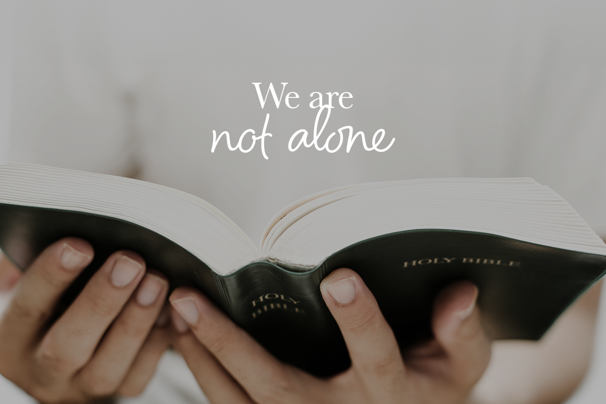 Do you not know? Have you not heard?