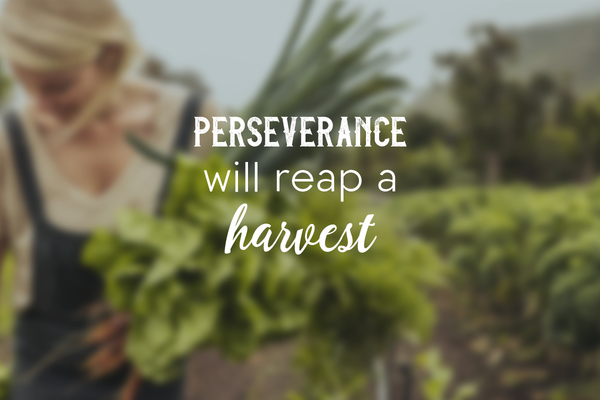 Perseverance Makes All the Difference