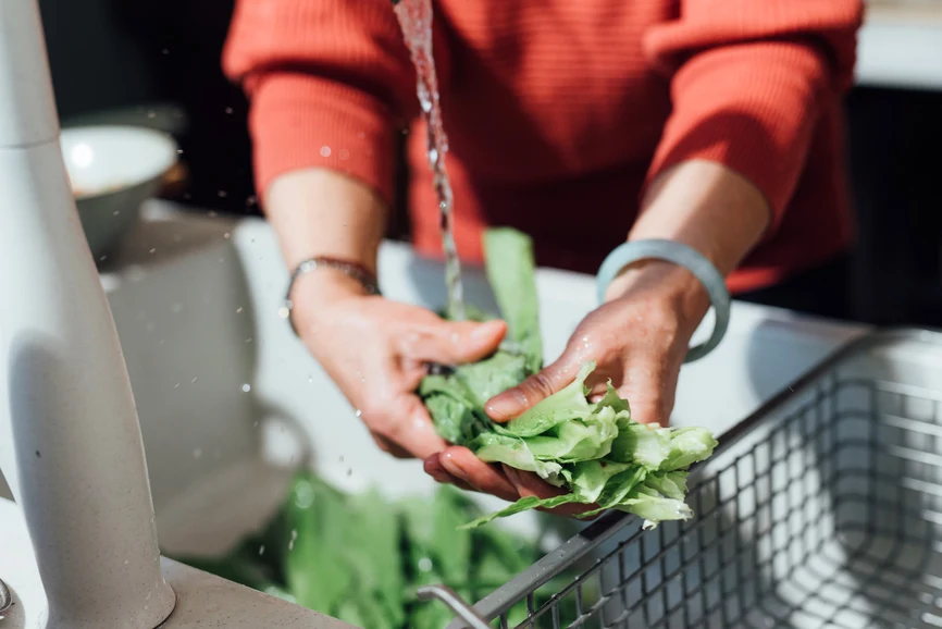 Woman washing lettuce leaves under faucet. AW082