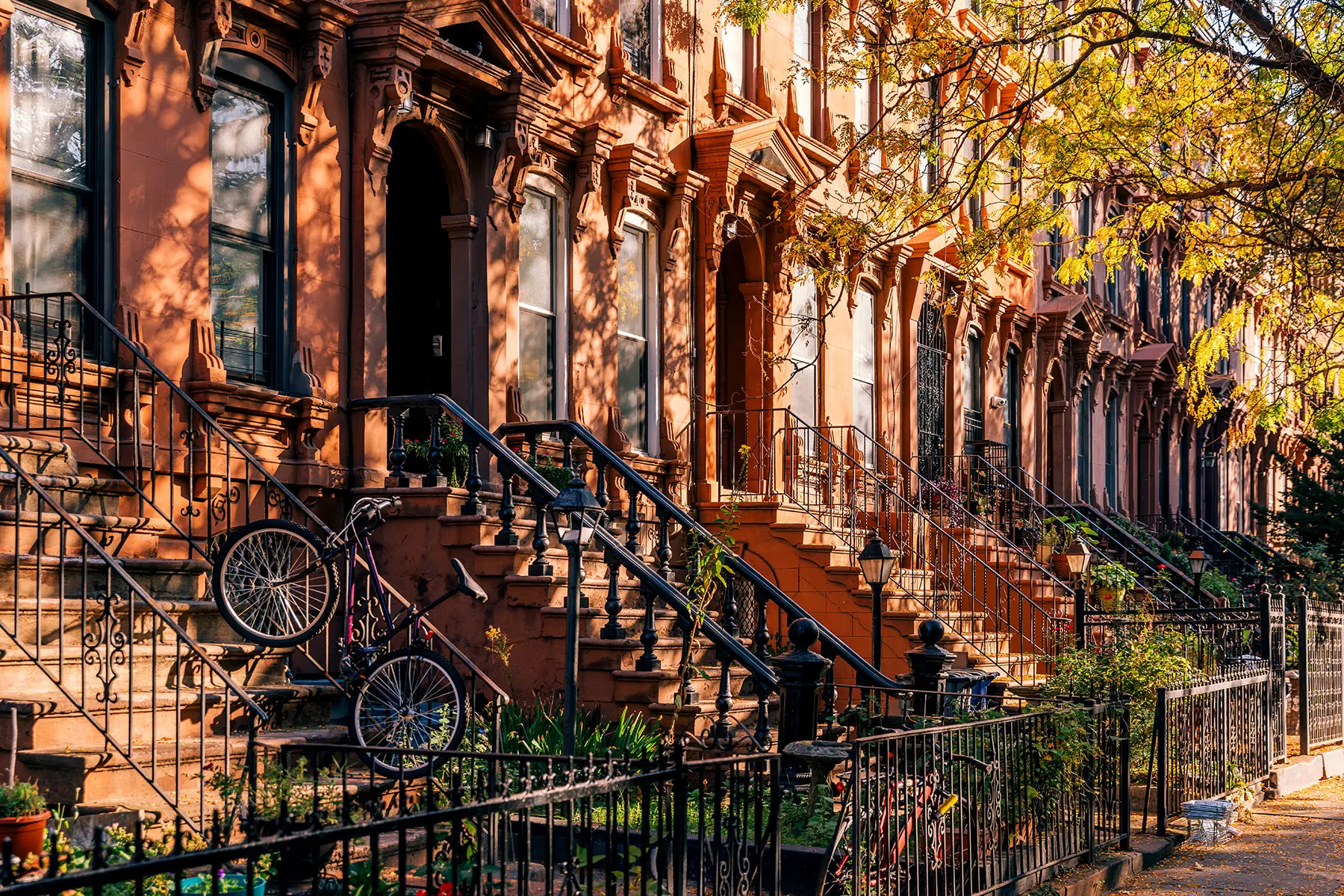 Row of Brooklyn Brownstones in Autumn. AW530