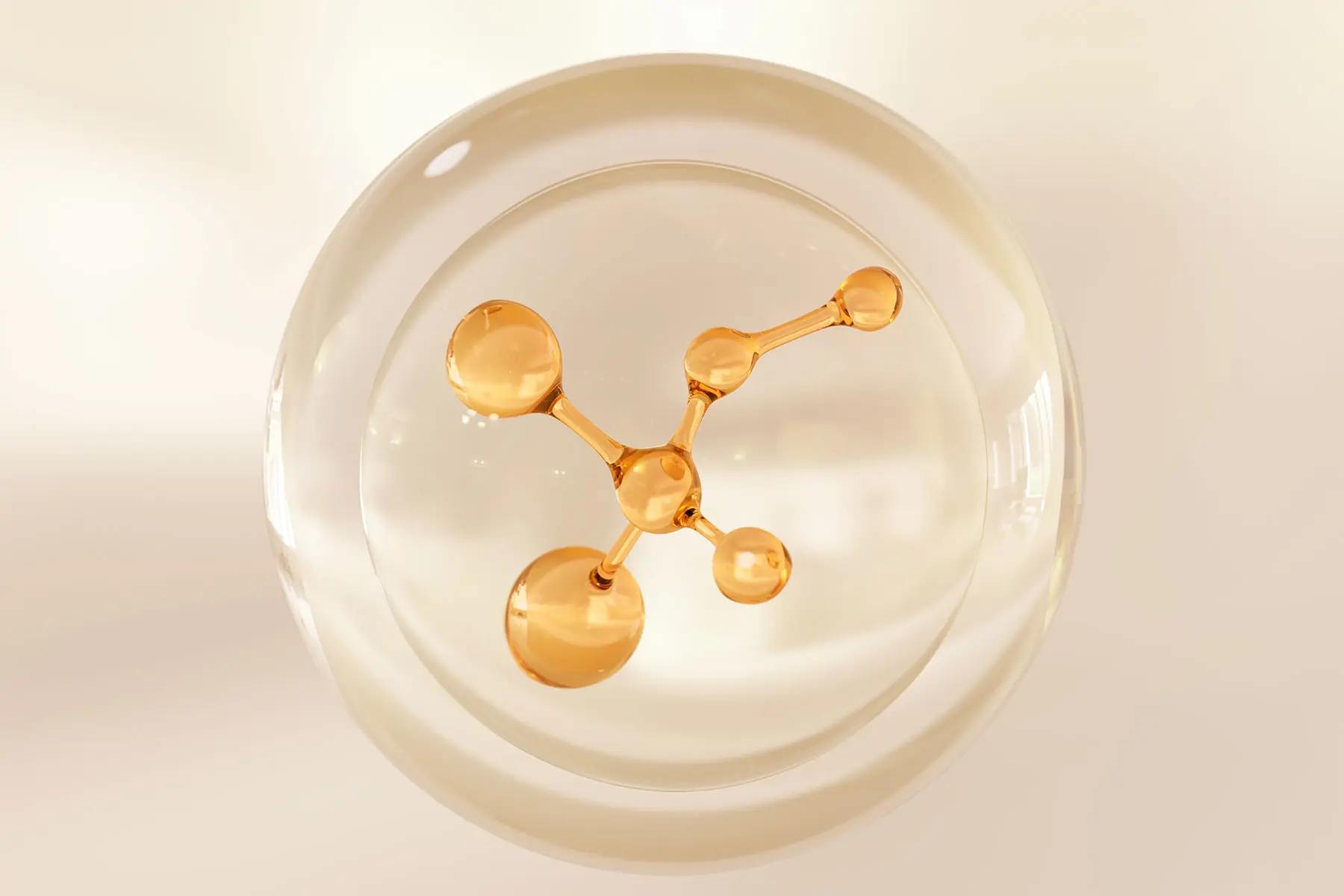 pale orange transparent model of a molecule sitting in glass petri dish AW748 (header)